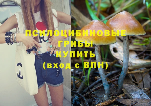 метадон Арсеньев